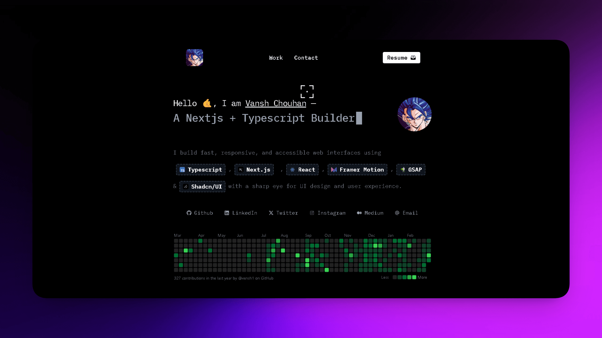 Portfolio project preview